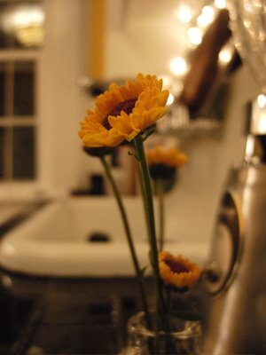 DSCN4679