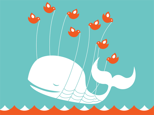 whale