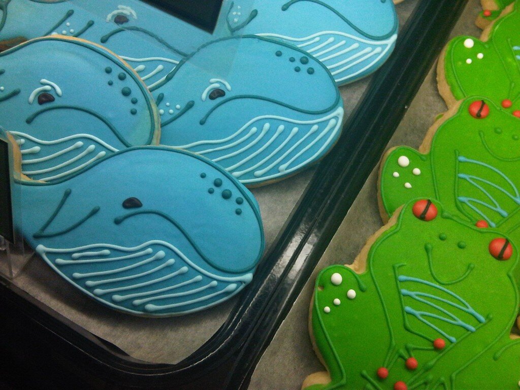 whales at quacks