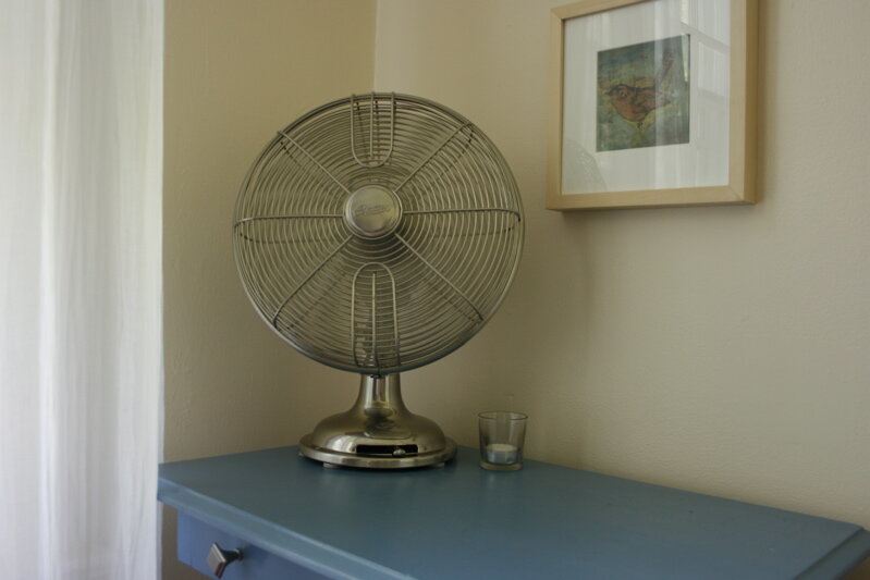 fan