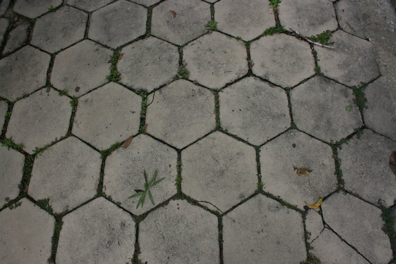 hexagon