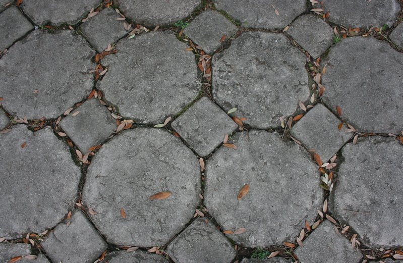 octagon