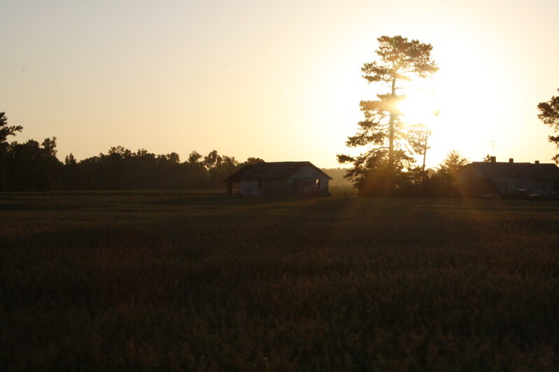 sunrise