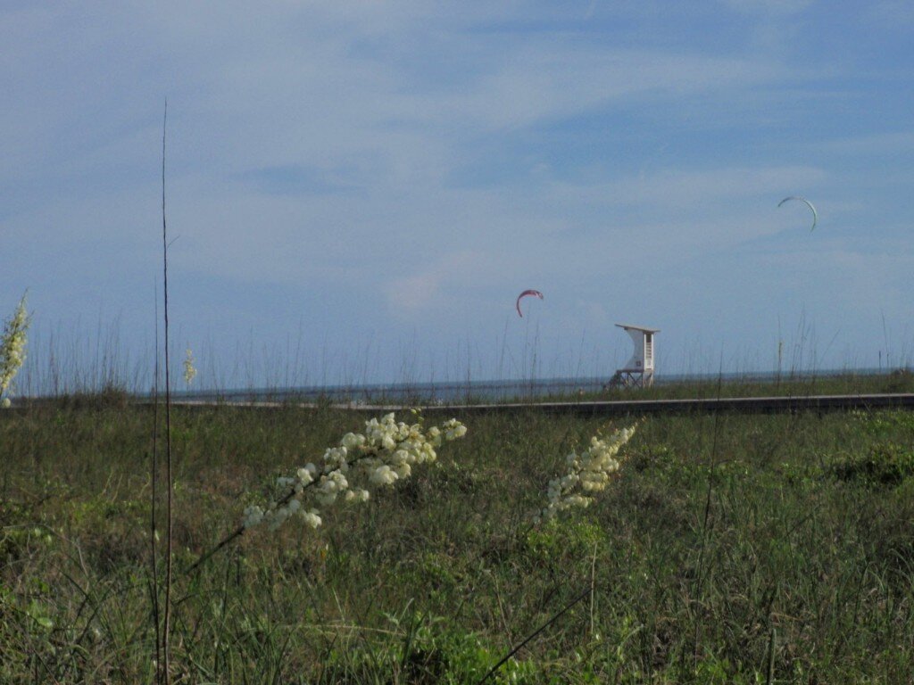 P5160114