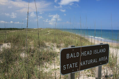 baldheadsign