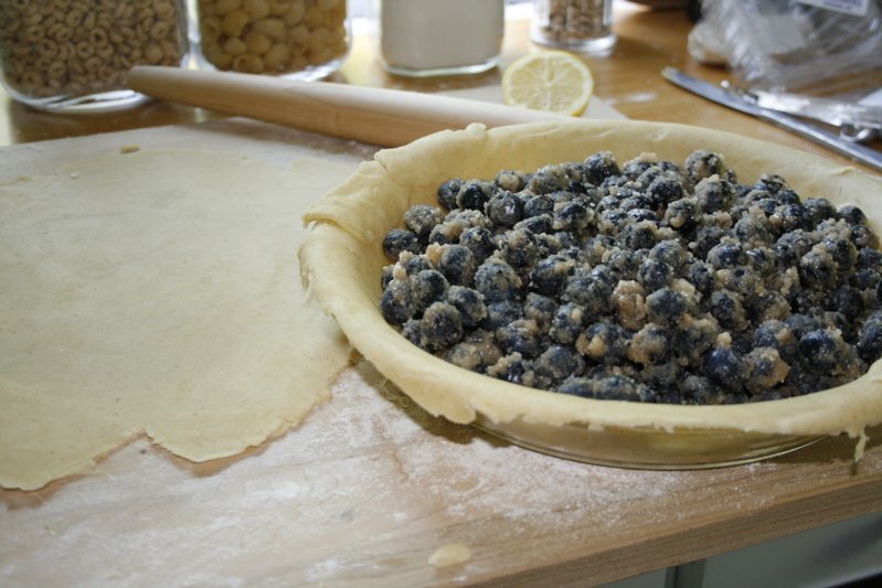 bluebpie1