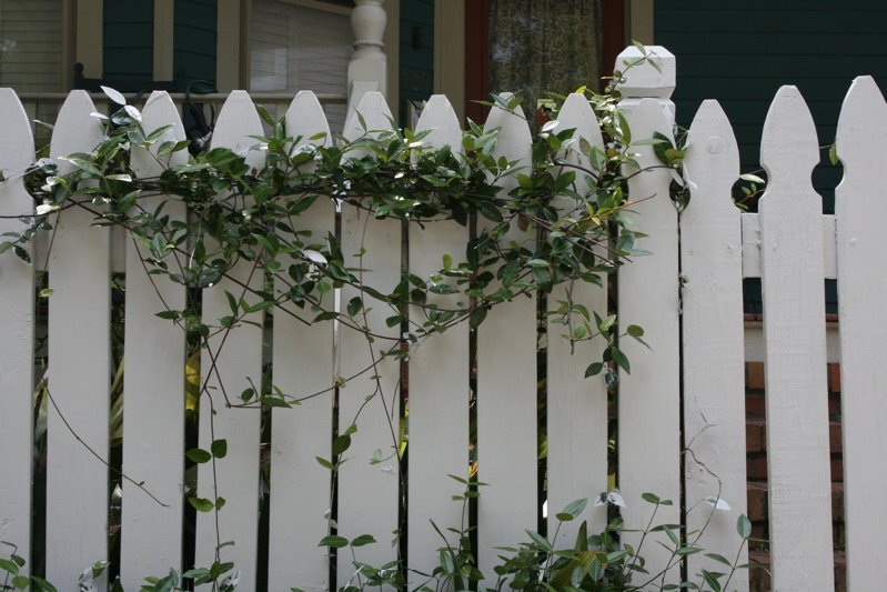 fence2