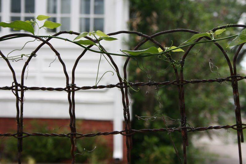 fence9