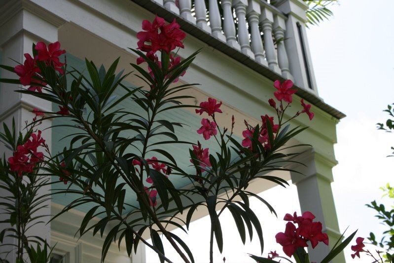 porch8