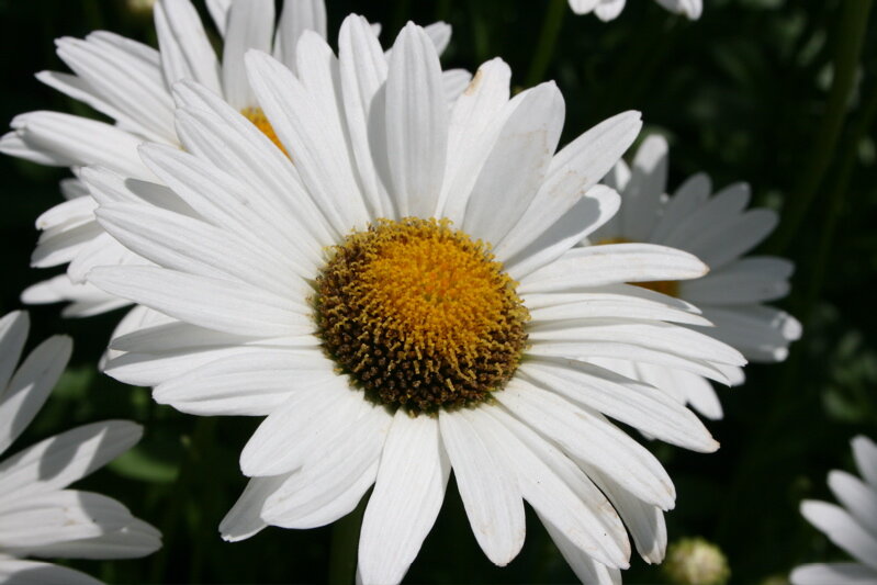 spring_cleaning