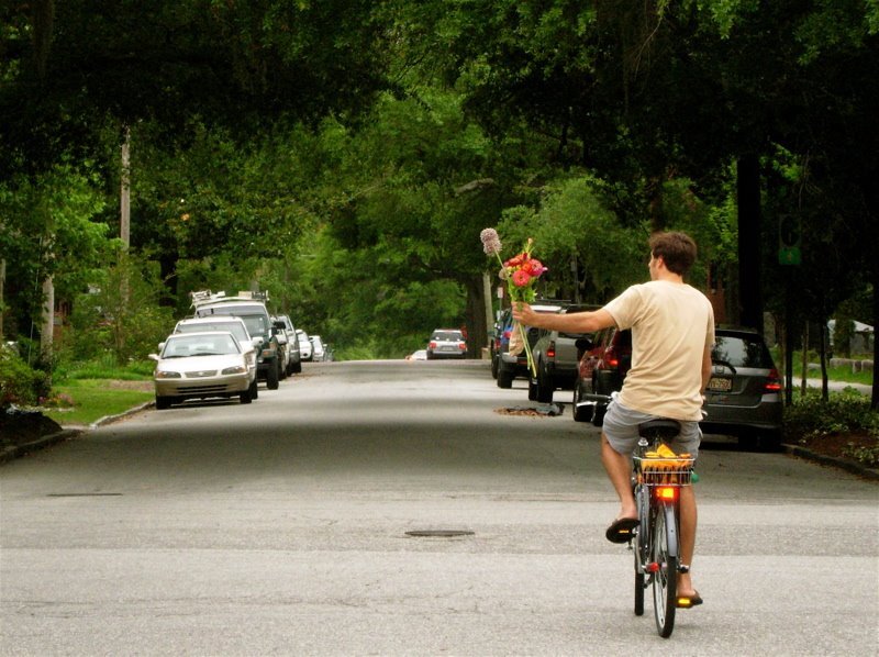 turn-signal2