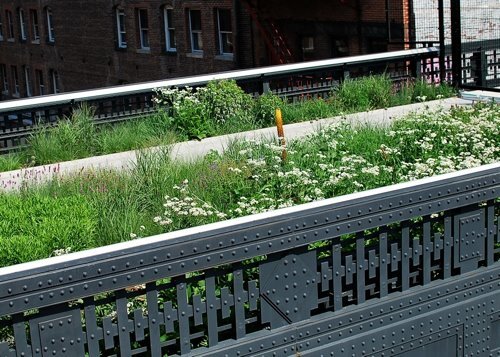 High Line Erin-2