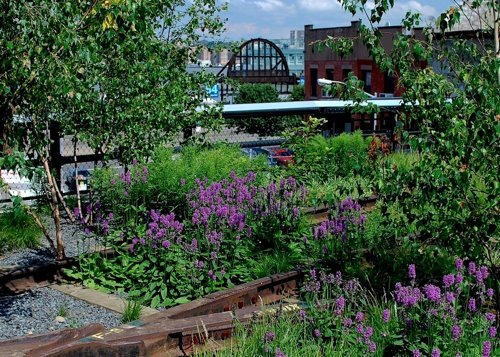 High Line Erin-7