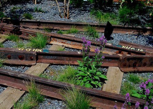 High Line Erin-8