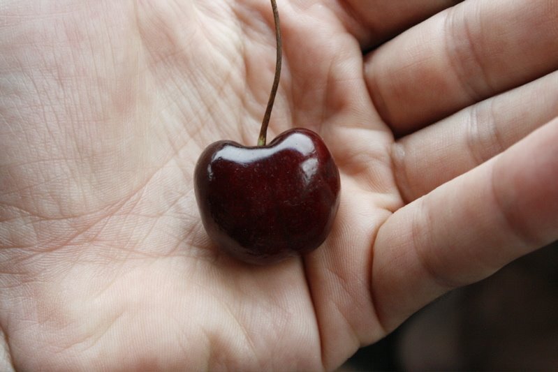 cherry