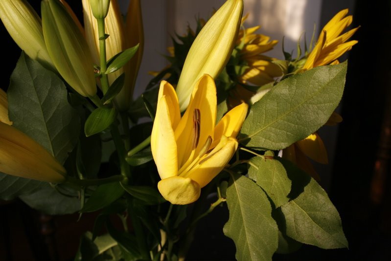 flowers (1)
