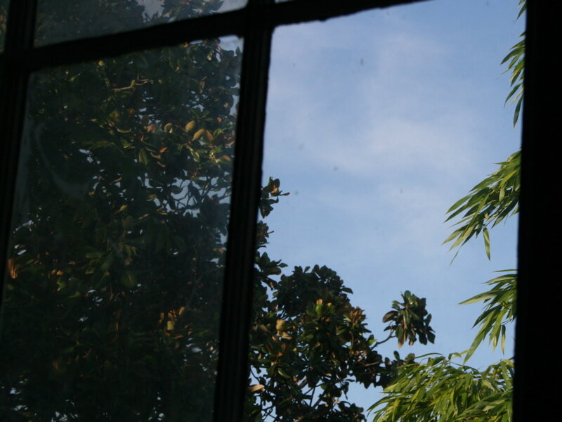 window