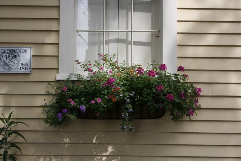 window10