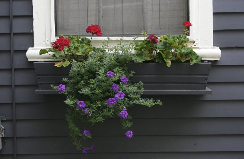 window1