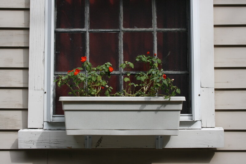 window2