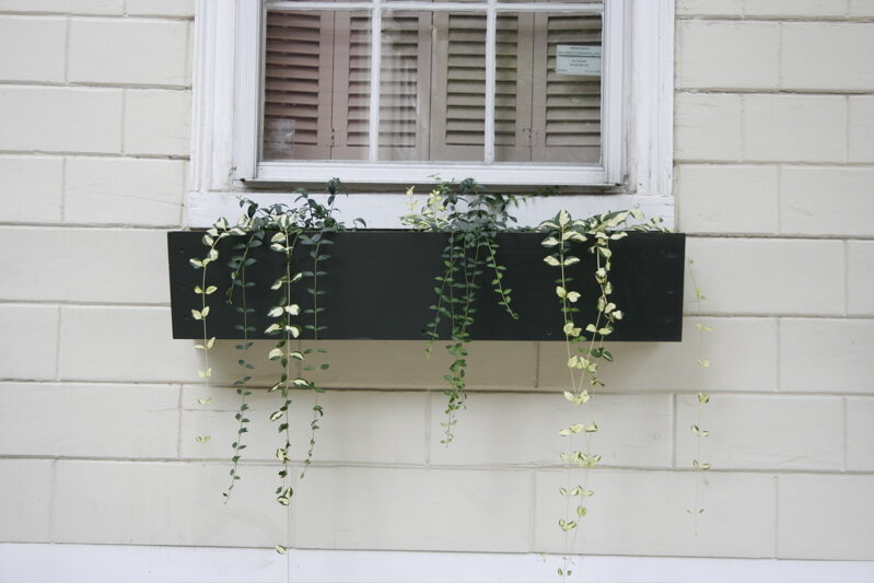 window6