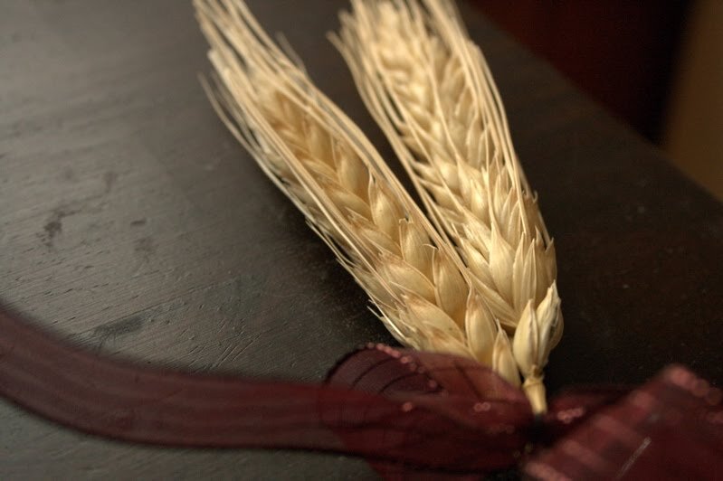 Wheat_MG_9822