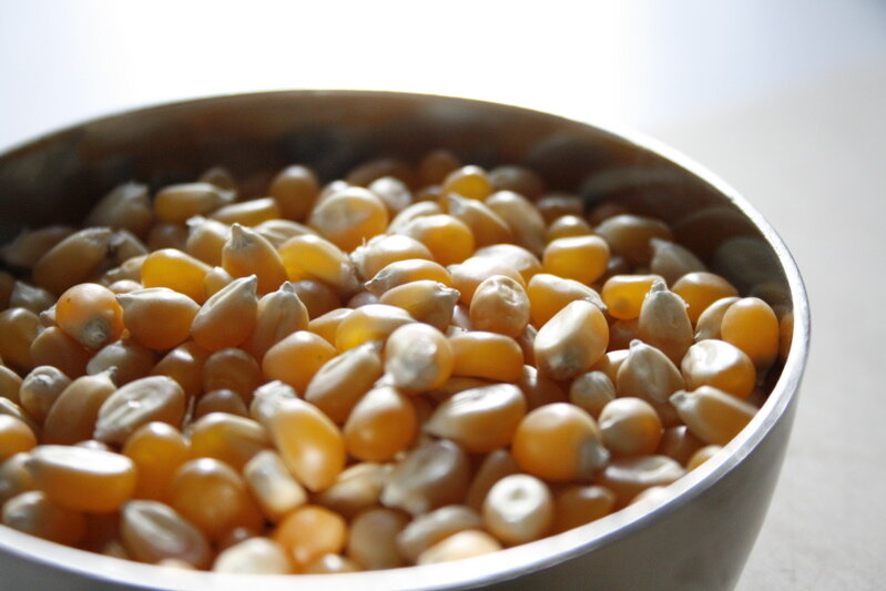 kernels