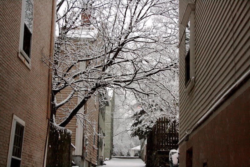 snow1