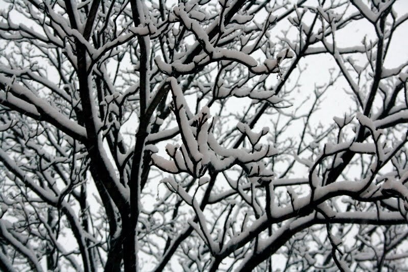 snow3