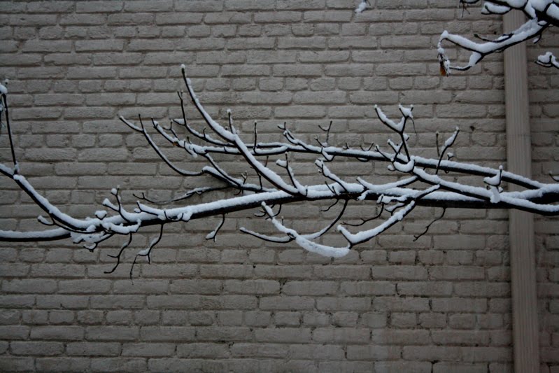 snow4.JPG
