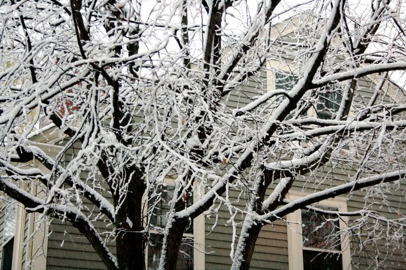 snow5