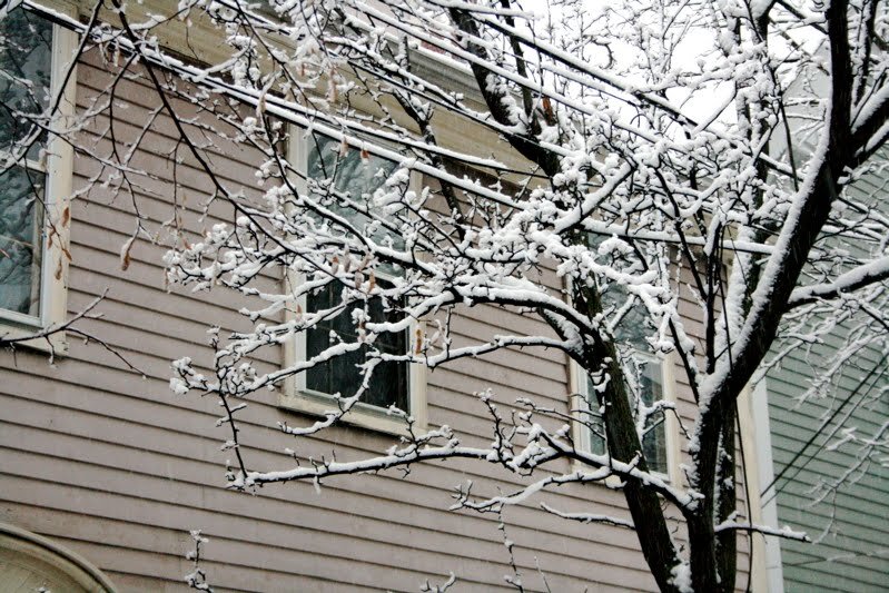 snow6