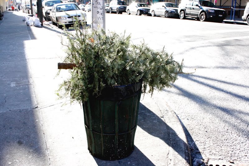 christmas tree