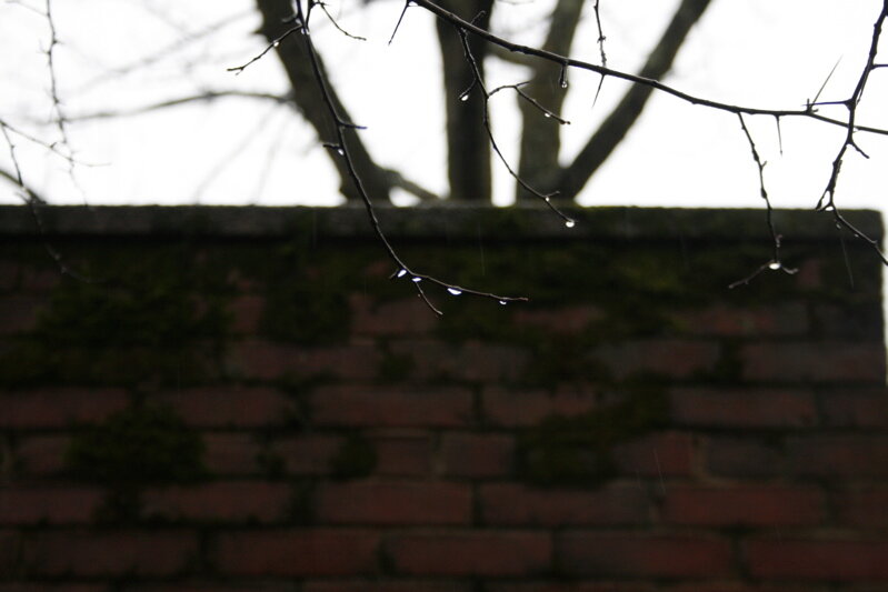 drop2