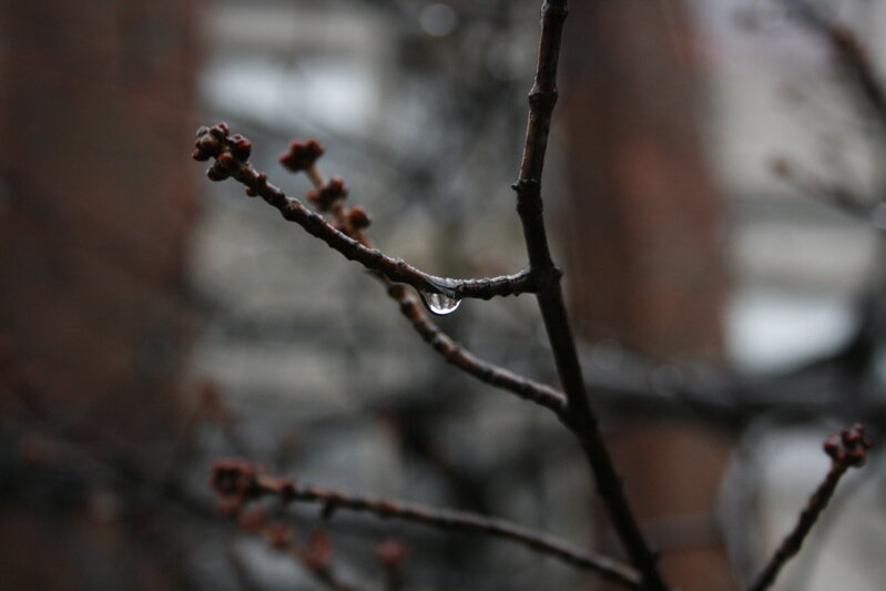 drop3