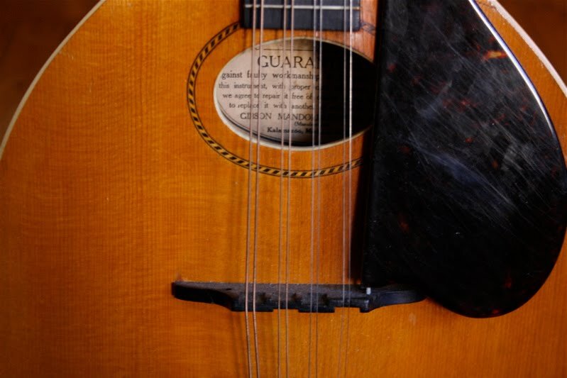 mandolin