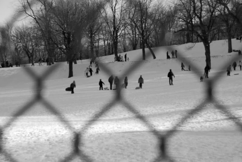 mont royal_mtl