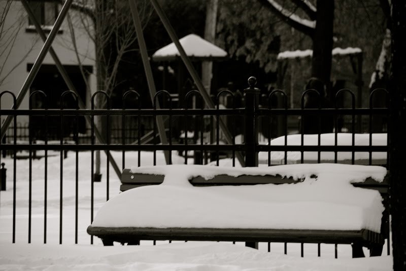 snow bench_mtl