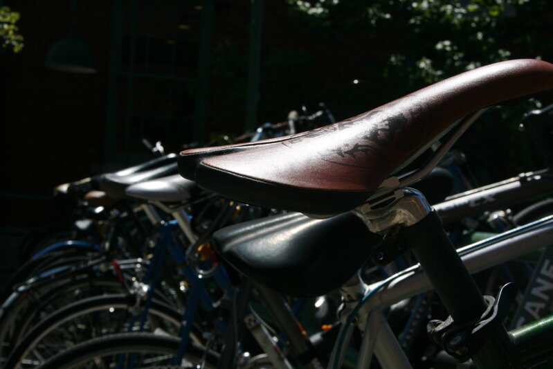bike6