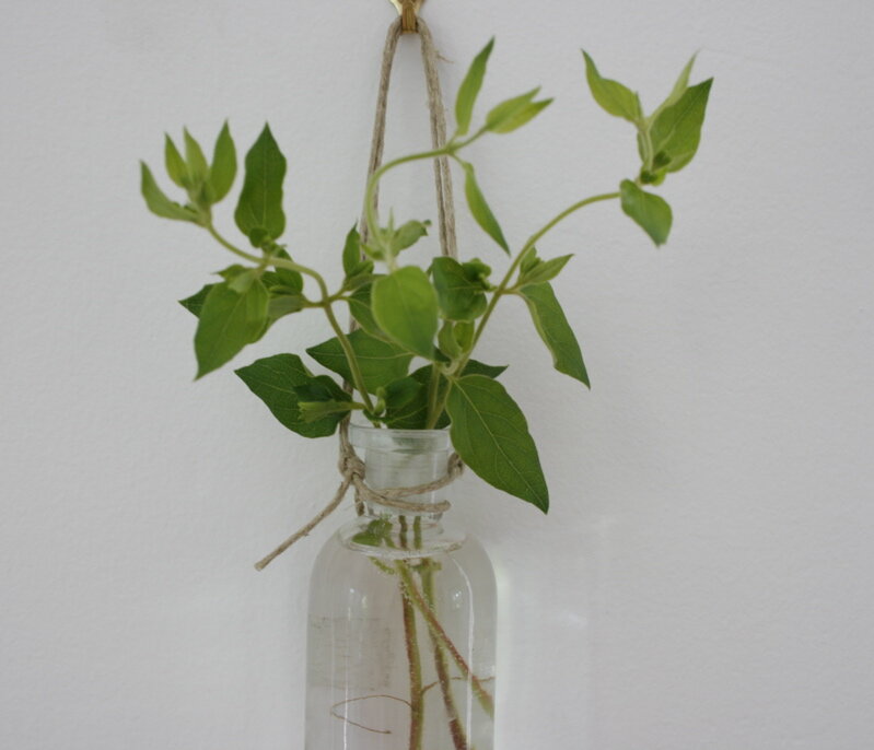 bottles3