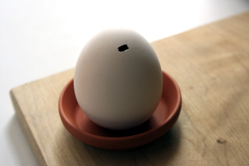 egg