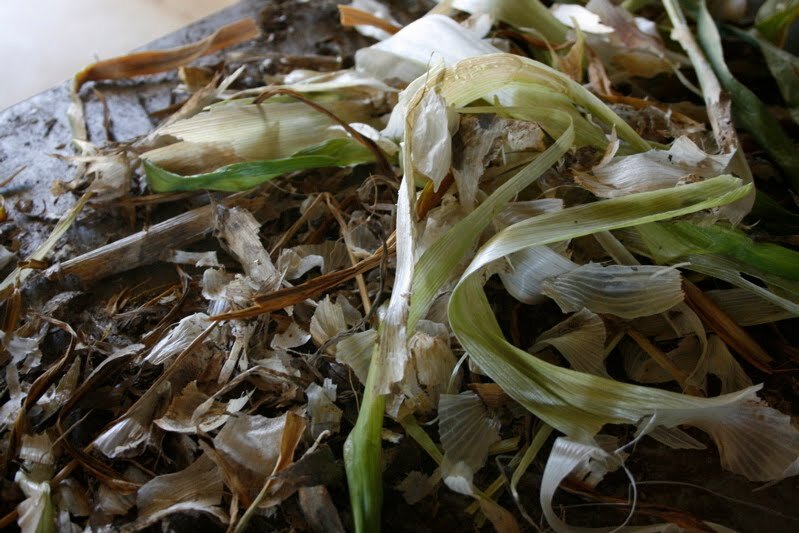 garlicpapers