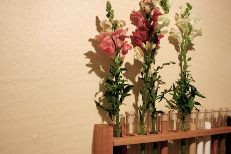 test_tubes