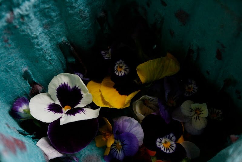pansies