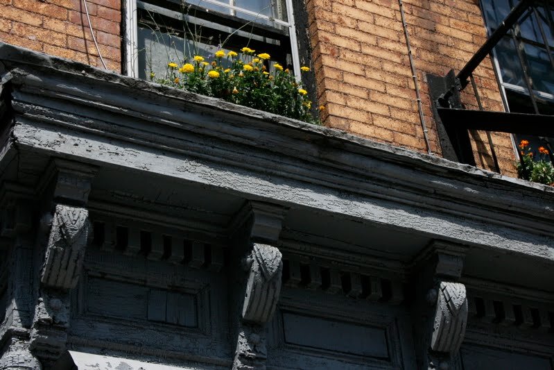 windowbox