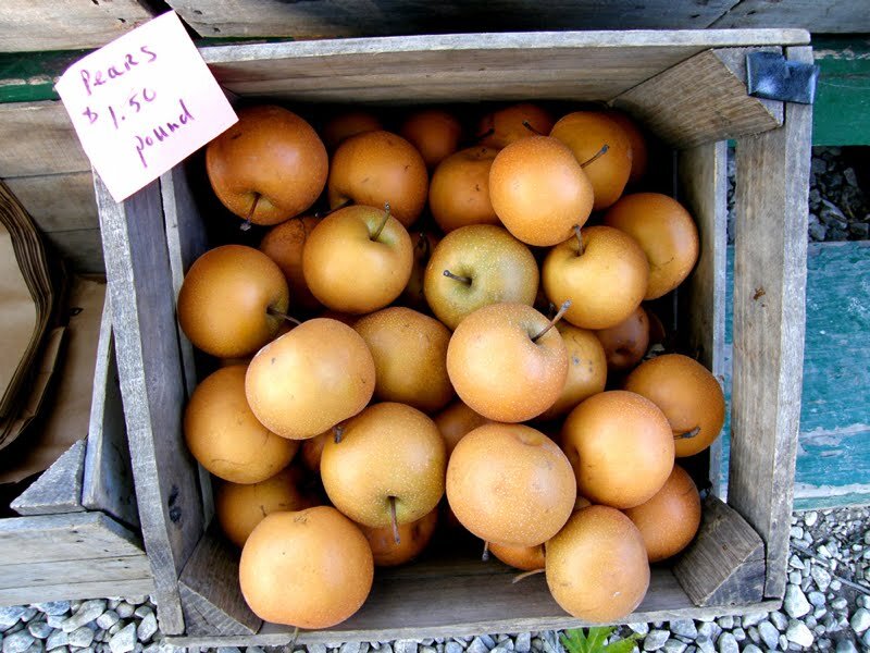 farmersmarket02
