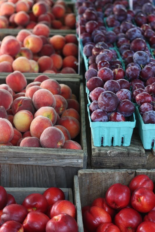 farmersmarket05