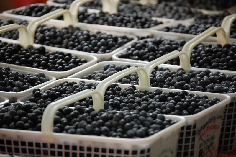 farmersmarket08