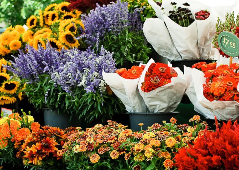 farmersmarket20