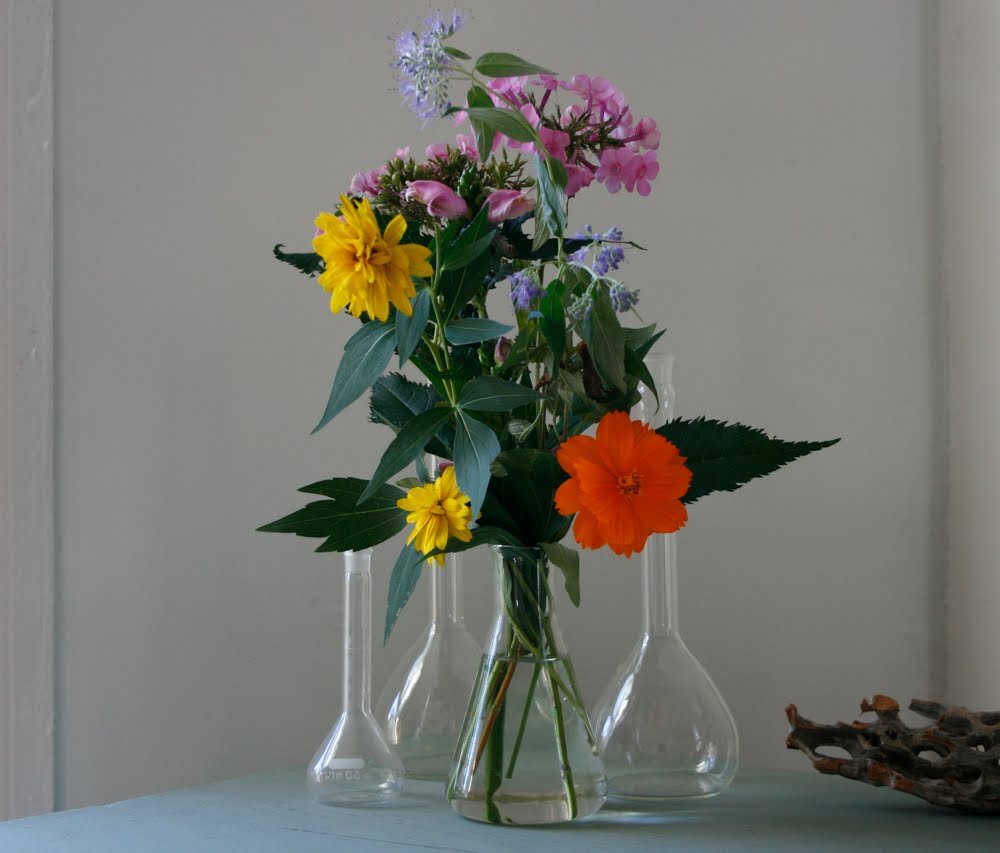 wildflower_beaker